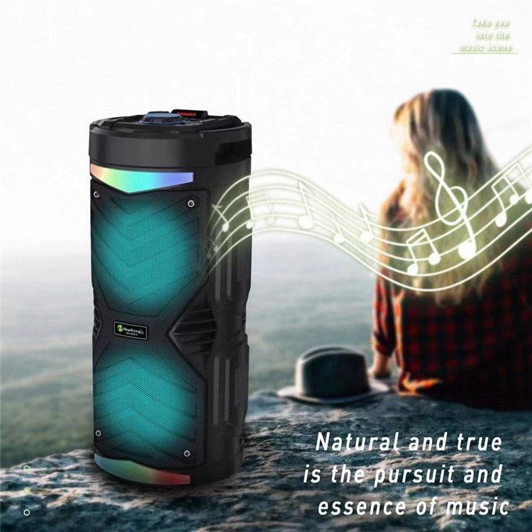 Cassa bluethoot con microfono per karaoke andowl