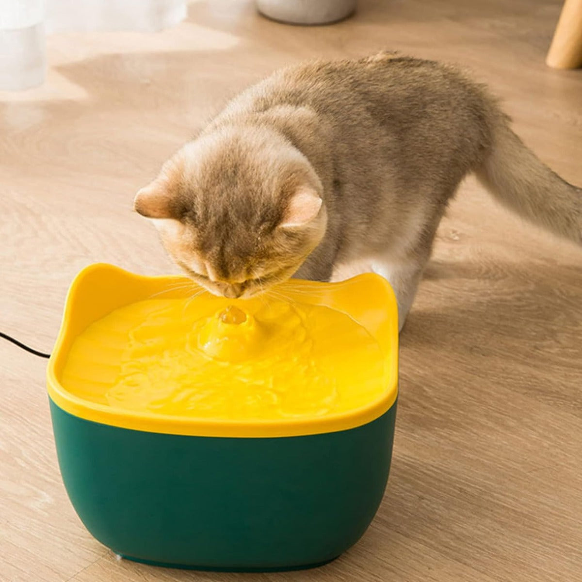 Fontana elettrica per cani e gatti con pompa silenziosa a getto continuo