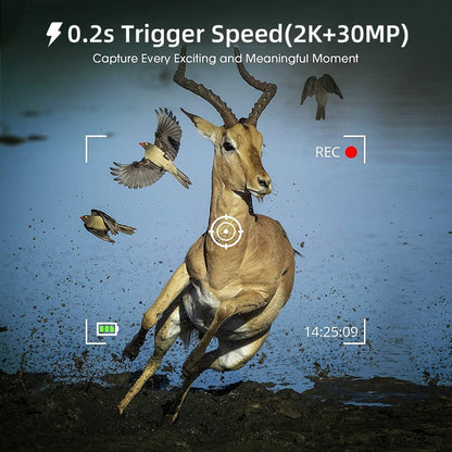 Fototrappola Telecamera per fauna selvatica Mimetica Spia Videocamera Mms -Mail-Gsm Gprs Sms-Infrarosso 16Mp Hd