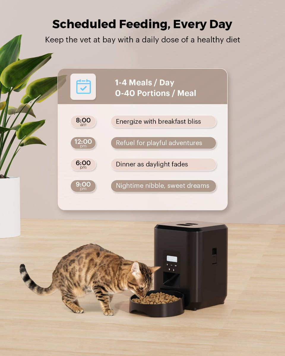 Distributore Automatico di Cibo per Gatti -  2L Fino a 4 Pasti al Giorno